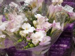 -AEON永旺(东方宝泰店)