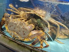 -兴仙饭店·闽味海鲜(马尾总店)