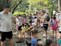 -成都市活水公园