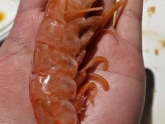 -舒友海鲜姿造(白鹭洲店)