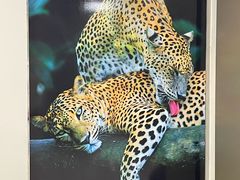 -班达拉奈克国际机场