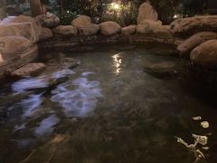 -英德宝晶宫天鹅湖茶语温泉