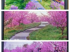 -花开海上生态园