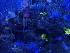 -成都浩海立方海洋公园