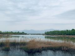 -野鸭湖国家湿地公园