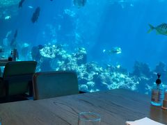 -海棠湾洲际-涛·海底餐厅·美人鱼·自助餐·海底隧道