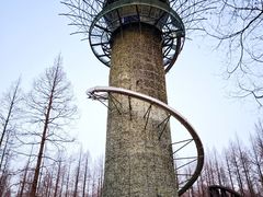 -黄海国家森林公园