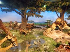 -国家自然博物馆