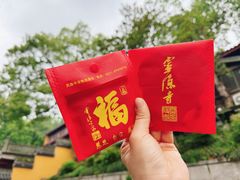 -灵隐飞来峰景区