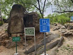 -白水寺森林公园