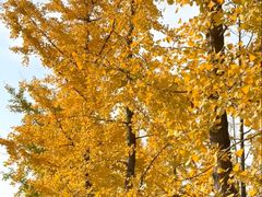 -狼山风景名胜区