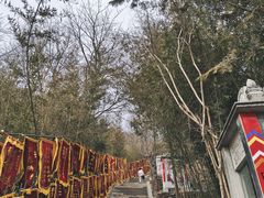 -红螺寺