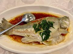 香葱灼鲈鱼-廣味潮鲜·一品潮滋味(五道口店)