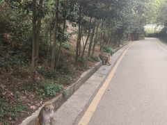 -黔灵山公园