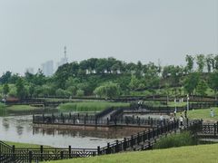 -九龙湖公园