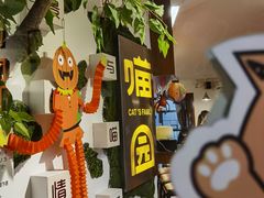 -喵园·猫主题咖啡厅·撸猫·猫咖(国贸店)