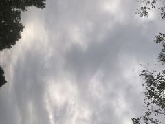 -艾溪湖湿地公园