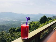 -三亚亚龙湾人间天堂鸟巢度假村