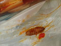 -川妹子饭店(海韵路店)