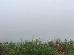 -永州阳明山国家森林公园