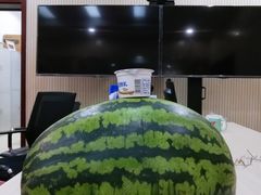 -庞各庄翠芳园西瓜蔬菜基地采摘园
