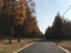 -塞罕坝国家级自然保护区