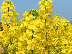 -中国天府农业博览园