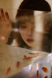 -WAVE SODA摄影工作室