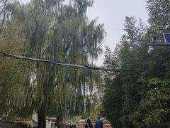 -皇家御河游(紫御湾码头)