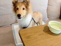 -G+KITCHEN·西餐·手作(时代广场店)