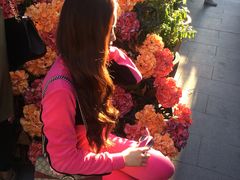 -The Grounds of Alexandria