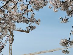 -龙美术馆(西岸馆)