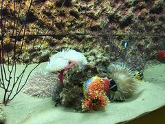 -北戴河圣蓝海洋公园