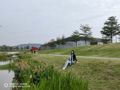 -光明小镇欢乐田园