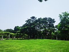 -青岛德国总督楼旧址博物馆