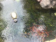 -水磨沟公园
