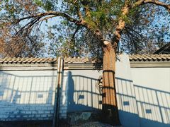 -陶然亭公园