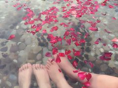 -金孔雀温泉旅游度假村