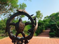 -广东惠东海龟国家级自然保护区
