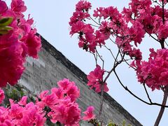 -老门东历史文化街区