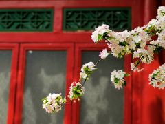 -海棠花溪(元大都城垣遗址公园)
