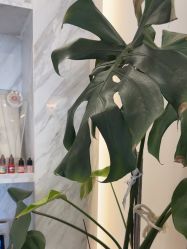 -德绣·机器野生眉发际线·美瞳线半永久