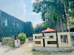 -前小桔亲子创意农场·草莓采摘·露营烧烤