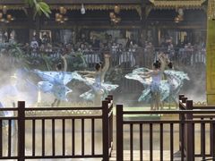 -西双版纳原始森林公园