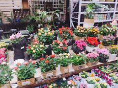 -秦美花卉(天朗·莱茵小城2期店)