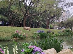 -人民公园(罗湖区)