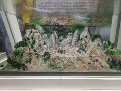 -安徽省地质博物馆