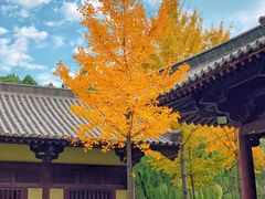 -四门塔风景区