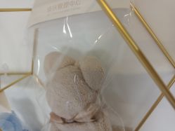 -凡碧诗毛孔收细