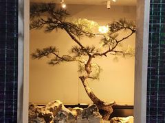 -山塘渡·苏式园林餐厅
